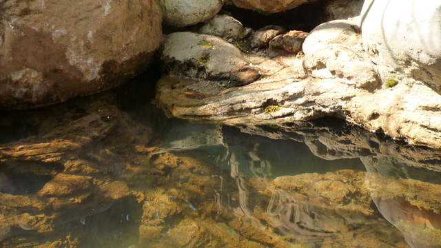 FAUX ROCHERS ET RECIFS ARTIFICIELS POUR LES BASSINS AQUATIQUE