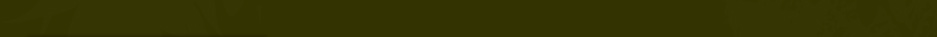 faux rocher menu vert